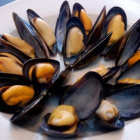 Live Australia Organic Mussel, 青口