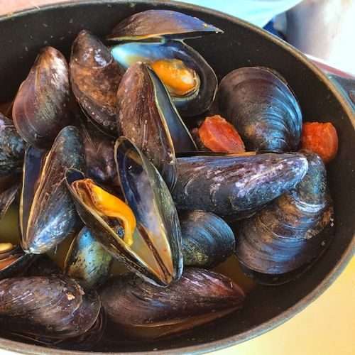 Mussel, 青口, 活青口