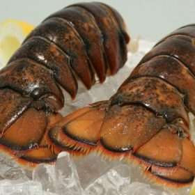 Frozen Canadian Lobster Tails