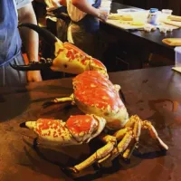 Tasmania King Crab, 澳洲帝王蟹